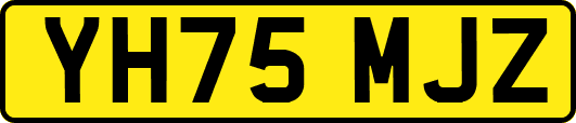 YH75MJZ