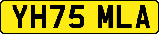 YH75MLA