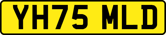YH75MLD