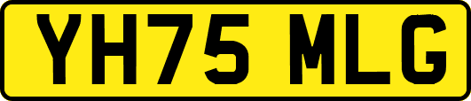 YH75MLG