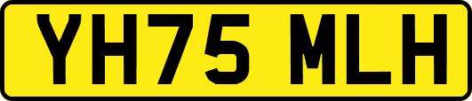 YH75MLH