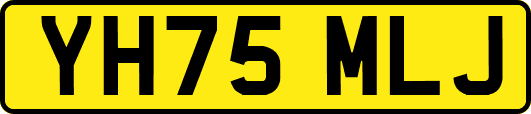 YH75MLJ