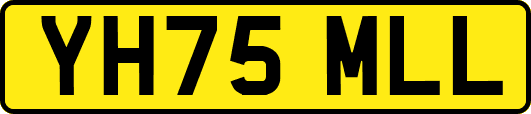 YH75MLL