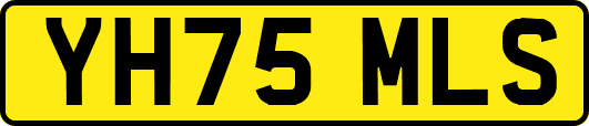 YH75MLS