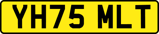 YH75MLT