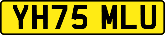 YH75MLU