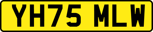 YH75MLW