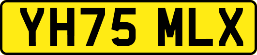 YH75MLX
