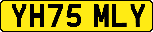 YH75MLY