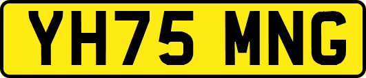 YH75MNG