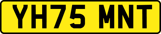 YH75MNT