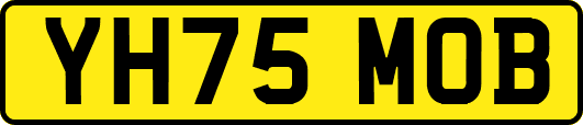 YH75MOB
