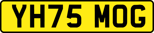 YH75MOG