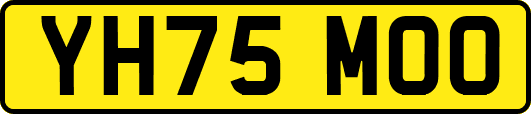 YH75MOO