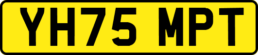 YH75MPT