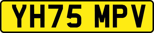 YH75MPV