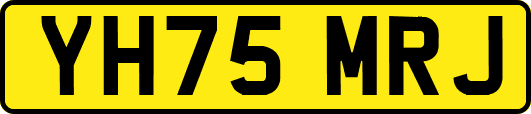 YH75MRJ