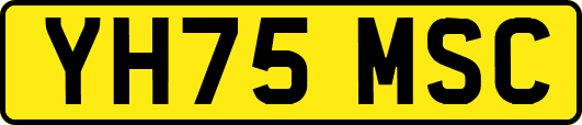 YH75MSC