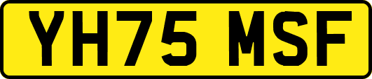 YH75MSF