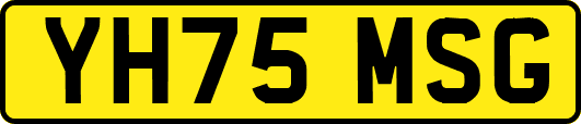 YH75MSG