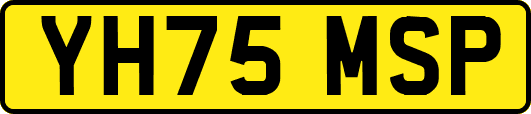 YH75MSP