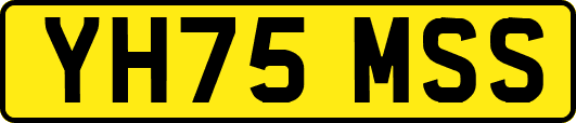 YH75MSS