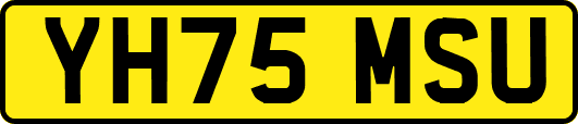 YH75MSU