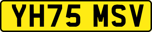 YH75MSV
