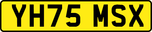 YH75MSX