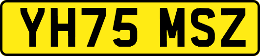 YH75MSZ