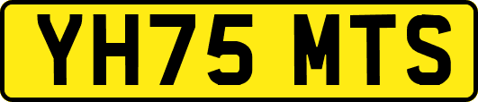 YH75MTS