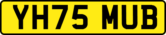 YH75MUB