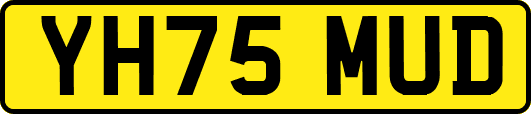 YH75MUD