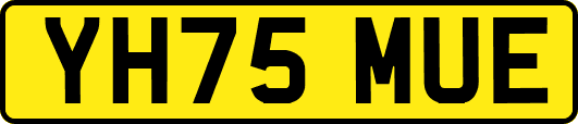 YH75MUE