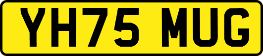 YH75MUG