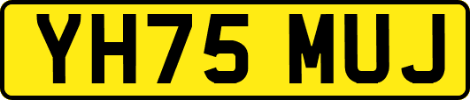 YH75MUJ