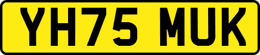YH75MUK