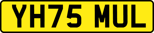 YH75MUL