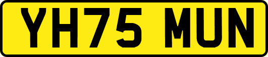 YH75MUN