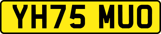 YH75MUO