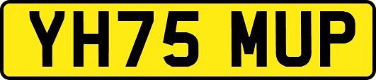 YH75MUP
