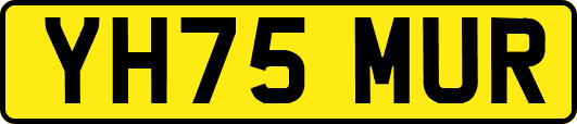 YH75MUR