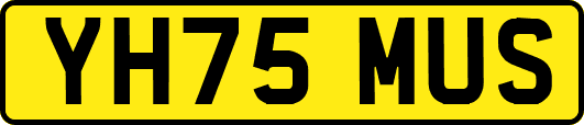 YH75MUS