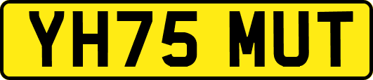 YH75MUT