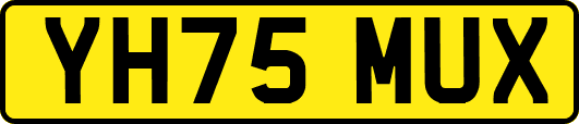 YH75MUX