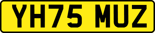 YH75MUZ