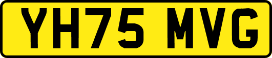 YH75MVG