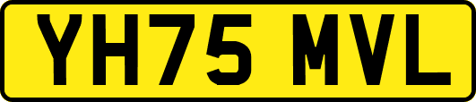 YH75MVL