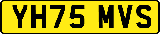 YH75MVS