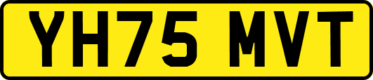 YH75MVT